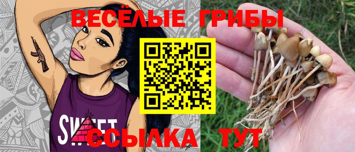 Псилоцибиновые грибы мухоморы  Вход с VPN  сколько стоит  Нарткала 