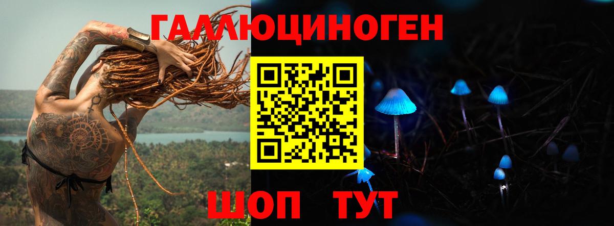 Галлюциногенные грибы GOLDEN TEACHER Нарткала